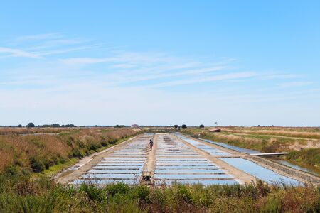 Marais salant - Ile de Ré