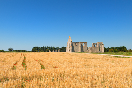 Abbaye des châteliers - Ile de Ré